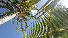pa280189_thumb.jpg