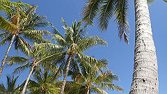 pa280190_thumb.jpg
