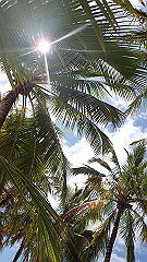 pa280196_thumb.jpg
