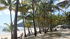 pa280200_thumb.jpg