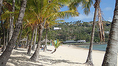 pa280203_thumb.jpg