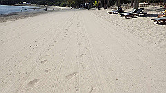 pa280206_thumb.jpg