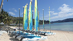 pa280210_thumb.jpg