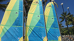 pa280212_thumb.jpg