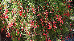 pa280218_thumb.jpg