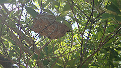 pa280230_thumb.jpg