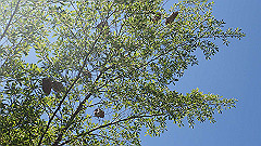 pa280231_thumb.jpg