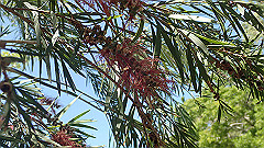 pa280232_thumb.jpg