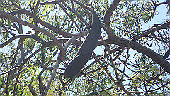 pa280234_thumb.jpg