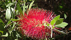pa280235_thumb.jpg