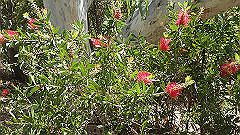 pa280236_thumb.jpg