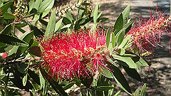 pa280237_thumb.jpg