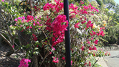 pa280238_thumb.jpg