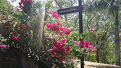 pa280239_thumb.jpg