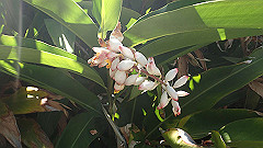 pa280240_thumb.jpg