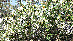 pa280244_thumb.jpg