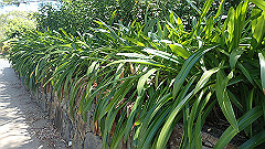 pa280245_thumb.jpg