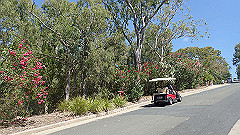 pa280246_thumb.jpg