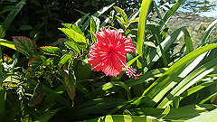 pa280247_thumb.jpg