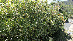 pa280249_thumb.jpg