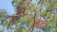 pa280250_thumb.jpg