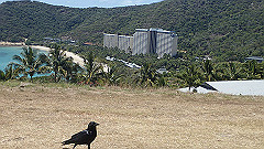 pa280260_thumb.jpg
