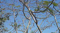 pa280267_thumb.jpg