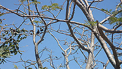 pa280268_thumb.jpg