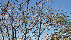 pa280269_thumb.jpg