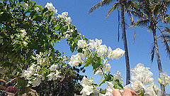 pa280293_thumb.jpg