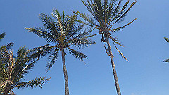 pa280295_thumb.jpg