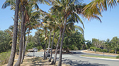 pa280299_thumb.jpg