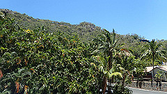 pa280311_thumb.jpg