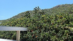 pa280312_thumb.jpg