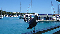pa280003_thumb.jpg