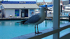 pa280006_thumb.jpg