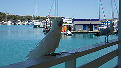 pa280007_thumb.jpg