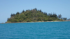 pa280041_thumb.jpg