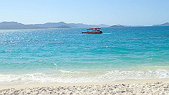 pa280061_thumb.jpg
