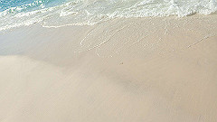 pa280085_thumb.jpg