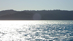 pa280097_thumb.jpg