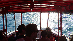 pa280101_thumb.jpg