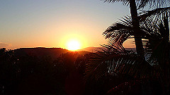 pa280118_thumb.jpg