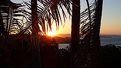 pa280119_thumb.jpg