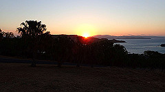 pa280125_thumb.jpg