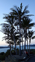 pa280135_thumb.jpg