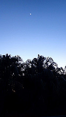 pa280144_thumb.jpg