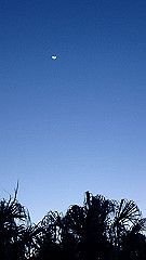 pa280145_thumb.jpg