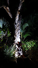 pa280163_thumb.jpg