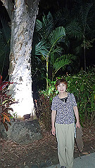 pa280167_thumb.jpg
